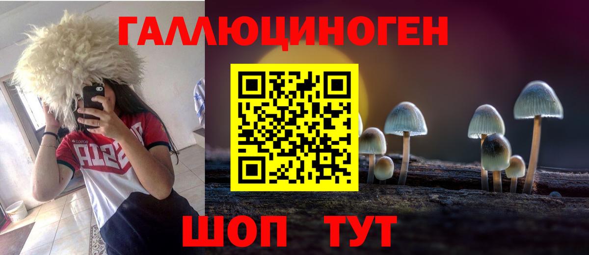 Псилоцибиновые грибы GOLDEN TEACHER Горно-Алтайск